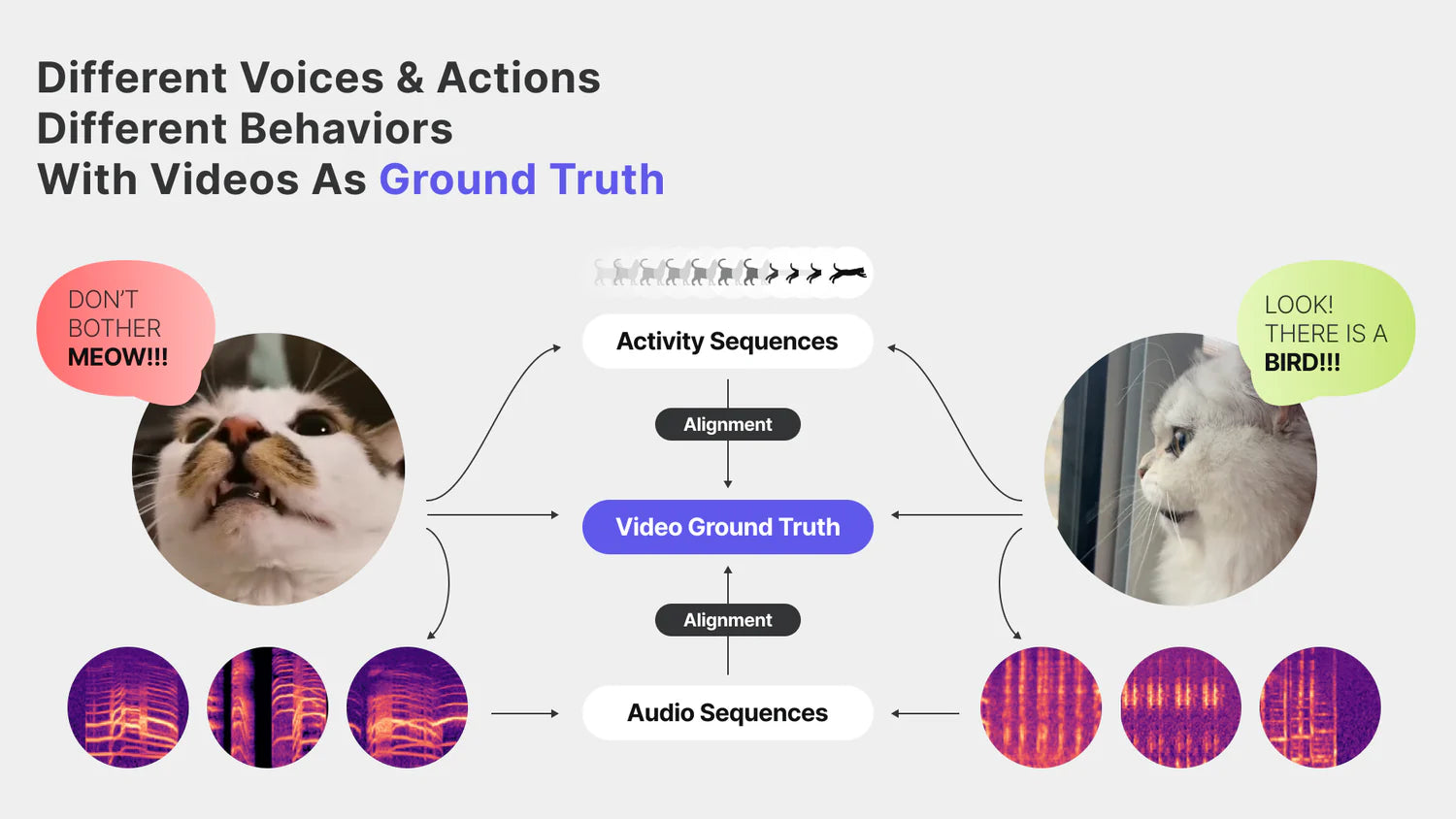 Different voices and actions signal different behaviors — vocalization spectrograms