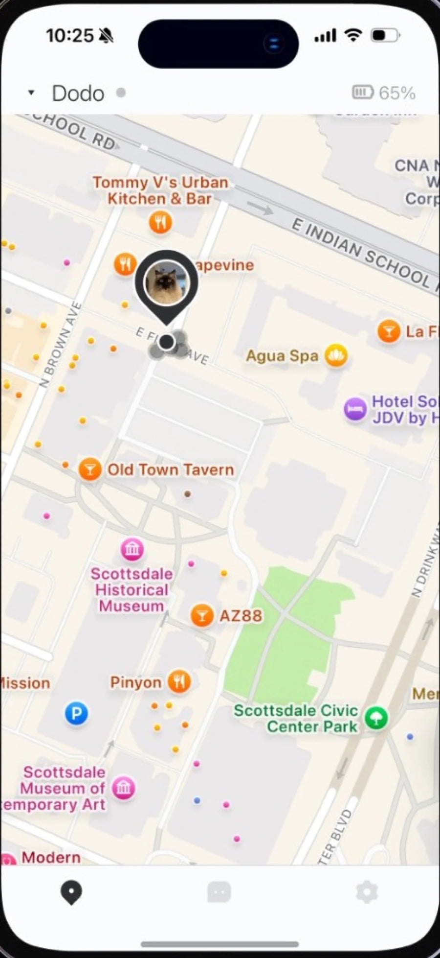 PetChat AI mobile app